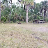 Review photo of Gator Head Campground — Big Cypress National Preserve by Jean C., April 1, 2020