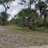 Review photo of Gator Head Campground — Big Cypress National Preserve by Jean C., April 1, 2020