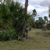 Review photo of Gator Head Campground — Big Cypress National Preserve by Jean C., April 1, 2020