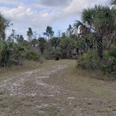 Review photo of Gator Head Campground — Big Cypress National Preserve by Jean C., April 1, 2020