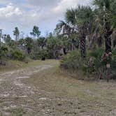 Review photo of Gator Head Campground — Big Cypress National Preserve by Jean C., April 1, 2020