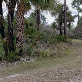 Review photo of Gator Head Campground — Big Cypress National Preserve by Jean C., April 1, 2020