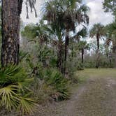 Review photo of Gator Head Campground — Big Cypress National Preserve by Jean C., April 1, 2020