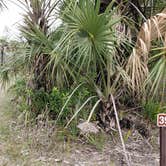 Review photo of Gator Head Campground — Big Cypress National Preserve by Jean C., April 1, 2020