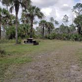 Review photo of Gator Head Campground — Big Cypress National Preserve by Jean C., April 1, 2020