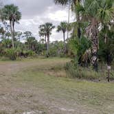 Review photo of Gator Head Campground — Big Cypress National Preserve by Jean C., April 1, 2020