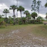 Review photo of Gator Head Campground — Big Cypress National Preserve by Jean C., April 1, 2020