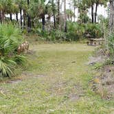 Review photo of Gator Head Campground — Big Cypress National Preserve by Jean C., April 1, 2020