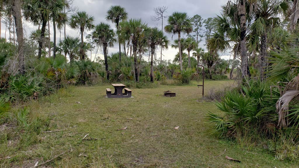 Camper-submitted photo at Gator Head Campground — Big Cypress National Preserve near Big Cypress National Preserve