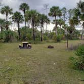 Review photo of Gator Head Campground — Big Cypress National Preserve by Jean C., April 1, 2020