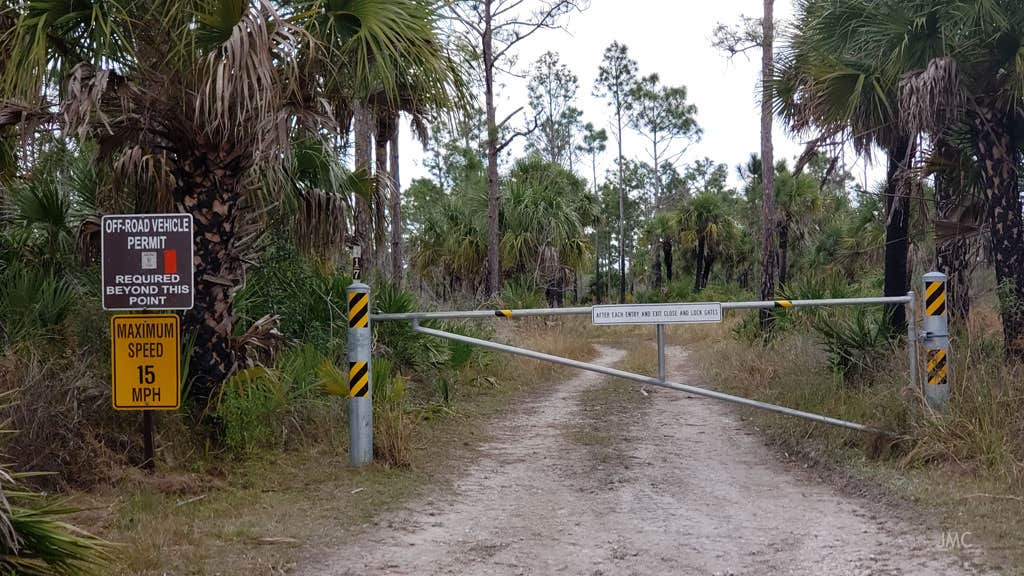 Camper-submitted photo at Gator Head Campground — Big Cypress National Preserve near Big Cypress National Preserve