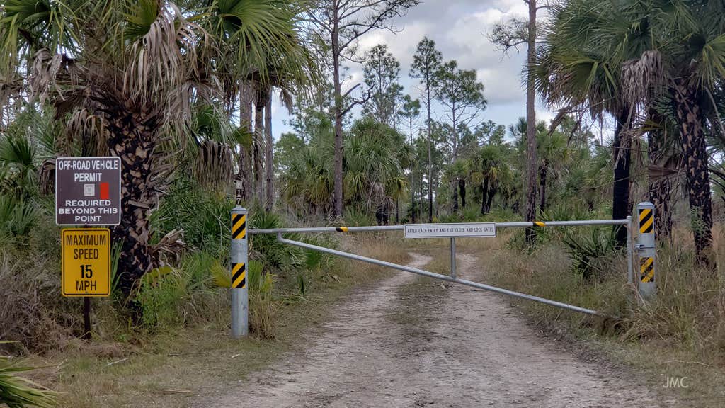 Camper-submitted photo at Gator Head Campground — Big Cypress National Preserve near Big Cypress National Preserve