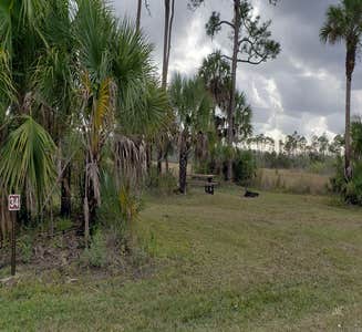 Camper-submitted photo from Gator Head Campground — Big Cypress National Preserve