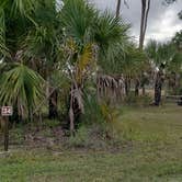 Review photo of Gator Head Campground — Big Cypress National Preserve by Jean C., April 1, 2020