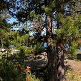 Review photo of East Lake Campground by Brian C., April 1, 2020