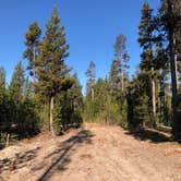 Review photo of Paulina Lake Campground by Brian C., April 1, 2020