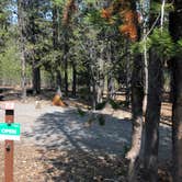 Review photo of Cinder Hill Campground by Brian C., April 1, 2020