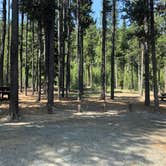 Review photo of Cinder Hill Campground by Brian C., April 1, 2020