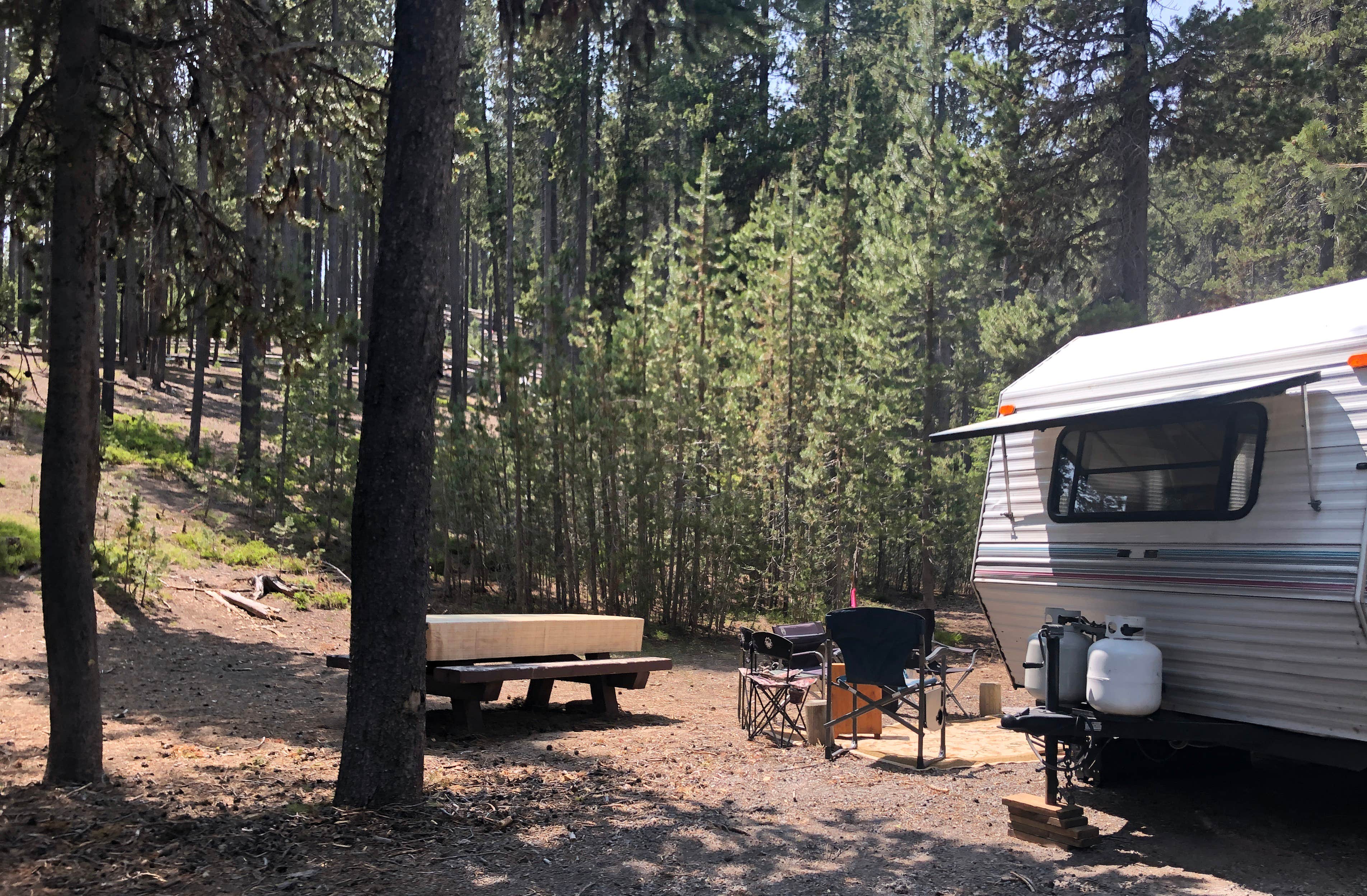 Camper submitted image from Cinder Hill Campground - 4