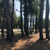 Review photo of Cinder Hill Campground by Brian C., April 1, 2020