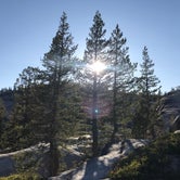 Review photo of Porcupine Flat Campground — Yosemite National Park by Crystal C., April 1, 2020