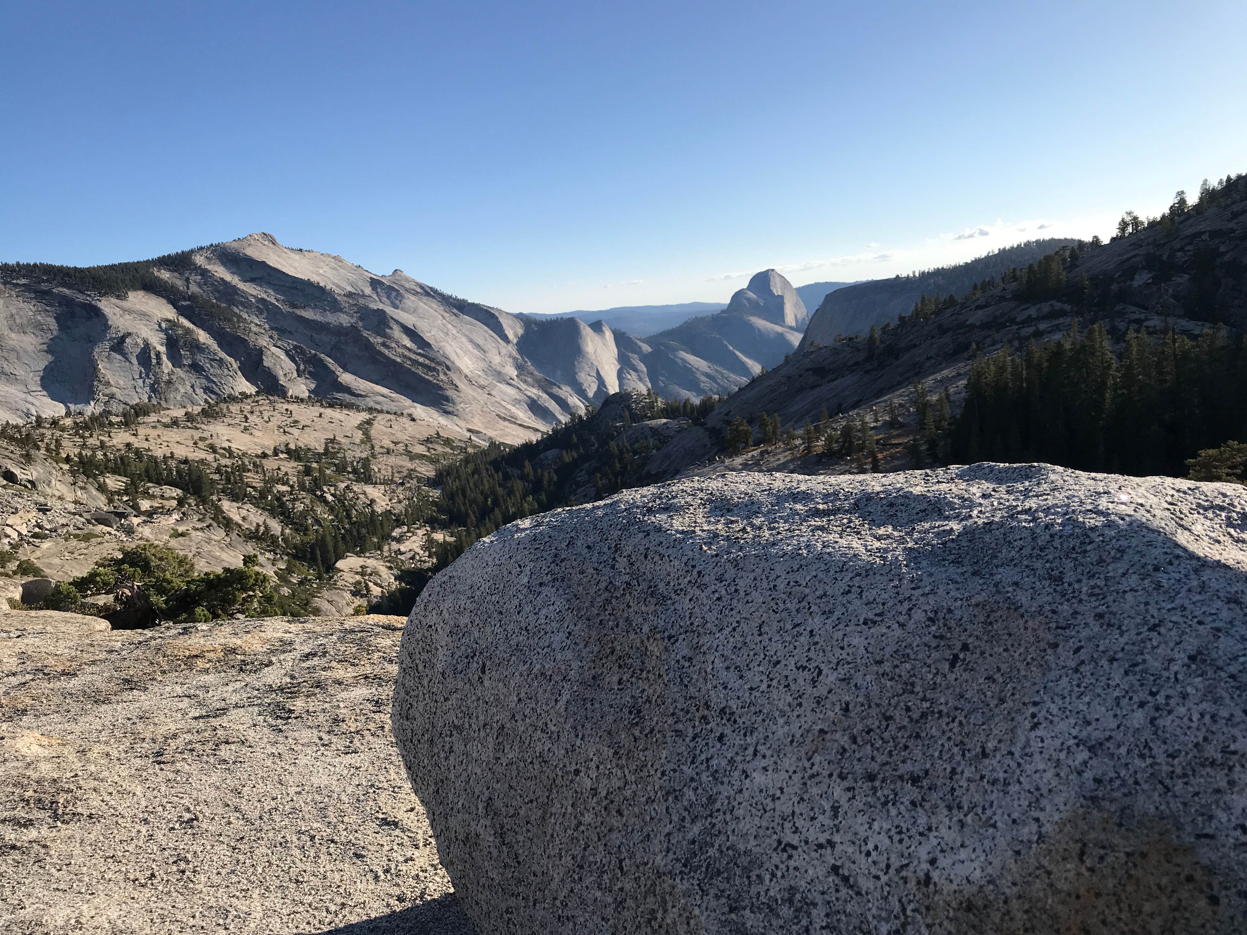 Camper submitted image from Porcupine Flat Campground — Yosemite National Park - 5