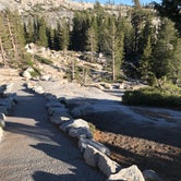 Review photo of Porcupine Flat Campground — Yosemite National Park by Crystal C., April 1, 2020