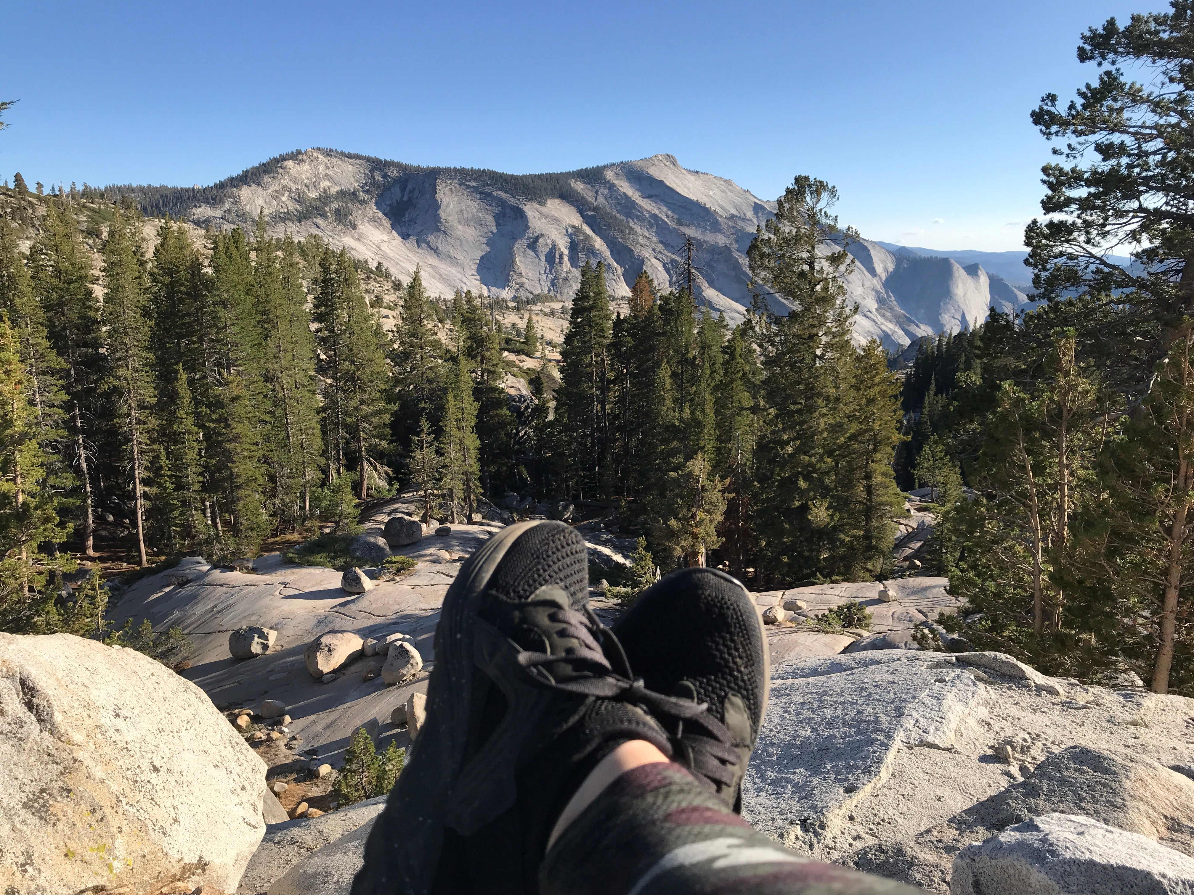 Camper submitted image from Porcupine Flat Campground — Yosemite National Park - 5