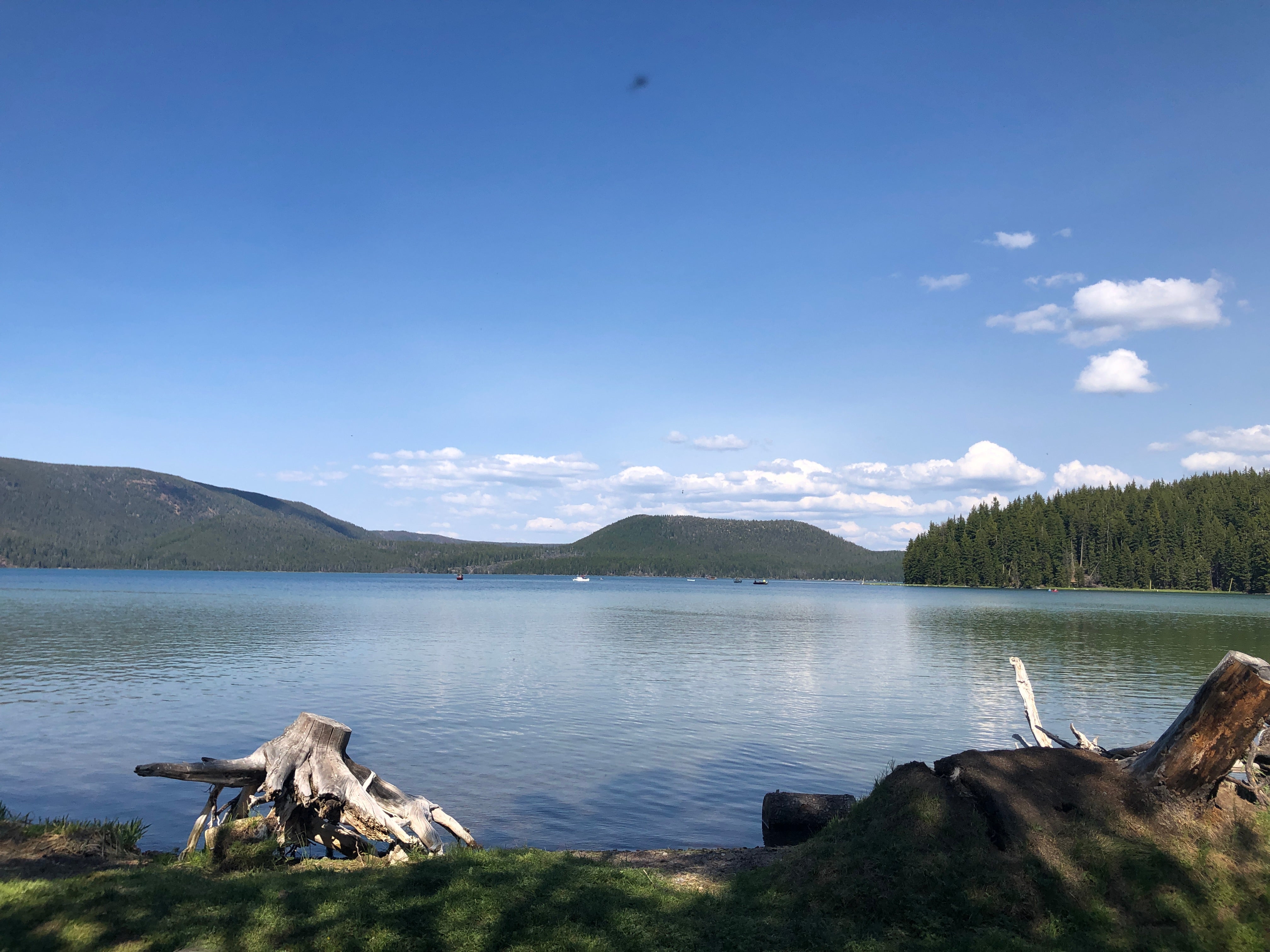 Camper submitted image from Paulina Lake Lodge Cabins - 5