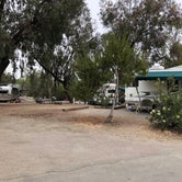 Review photo of Guajome Regional Park by Corinna B., June 30, 2018