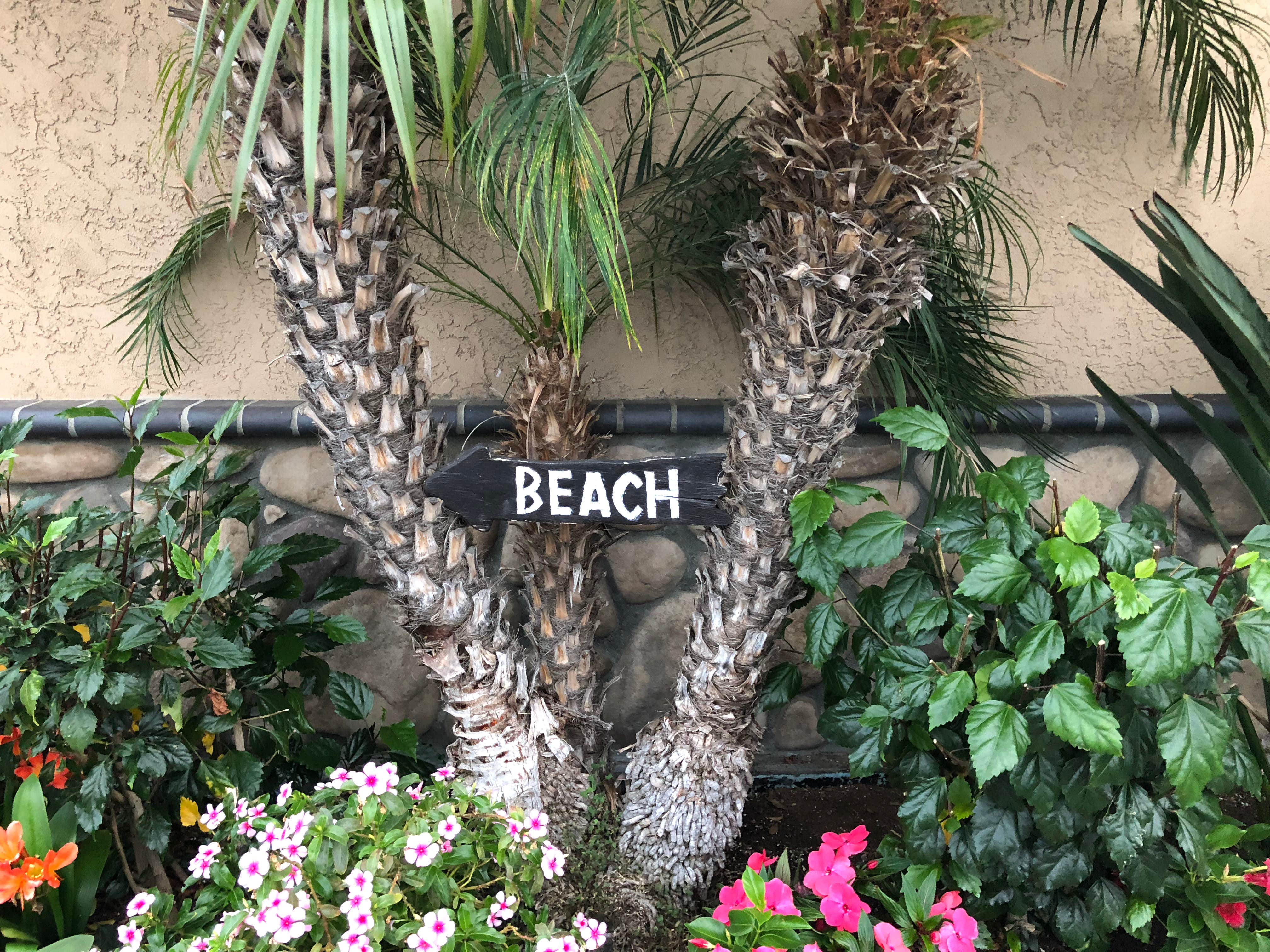 Camper-submitted photo at Paradise By The Sea RV Resort near San Marcos, CA