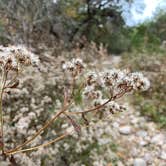 Review photo of Lost Maples State Natural Area by Troy W., April 1, 2020