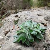 Review photo of Lost Maples State Natural Area by Troy W., April 1, 2020