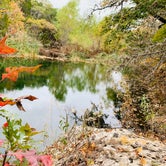 Review photo of Lost Maples State Natural Area by Troy W., April 1, 2020