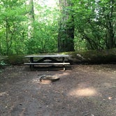 Review photo of Beacon Rock State Park Group Campground — Beacon Rock State Park by Crystal C., April 1, 2020