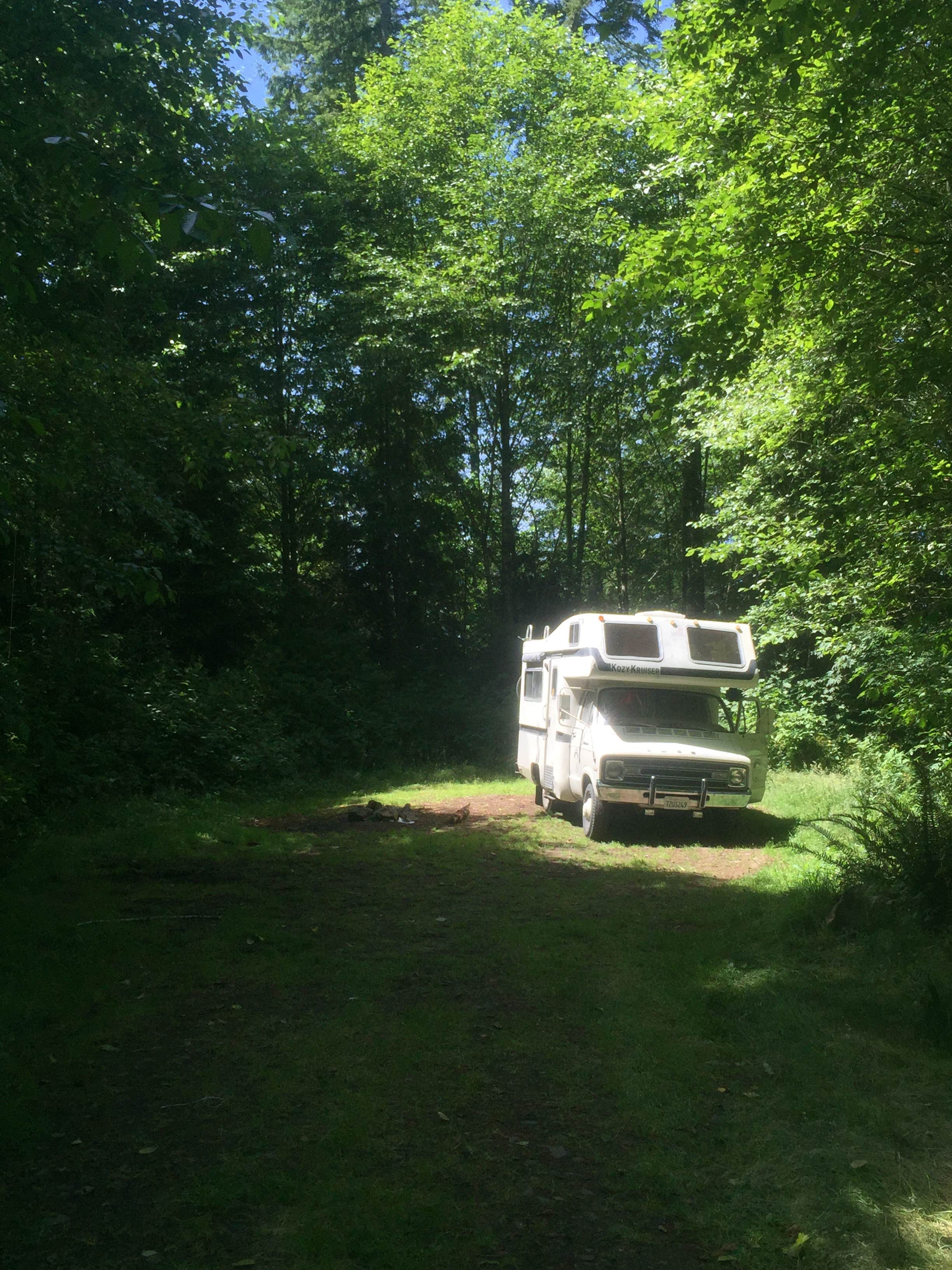 Camper-submitted photo at Clatsop State Forest Gnat Creek Campground near Ilwaco, WA