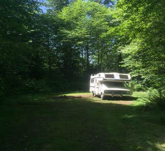 Camper-submitted photo from Clatsop State Forest Gnat Creek Campground