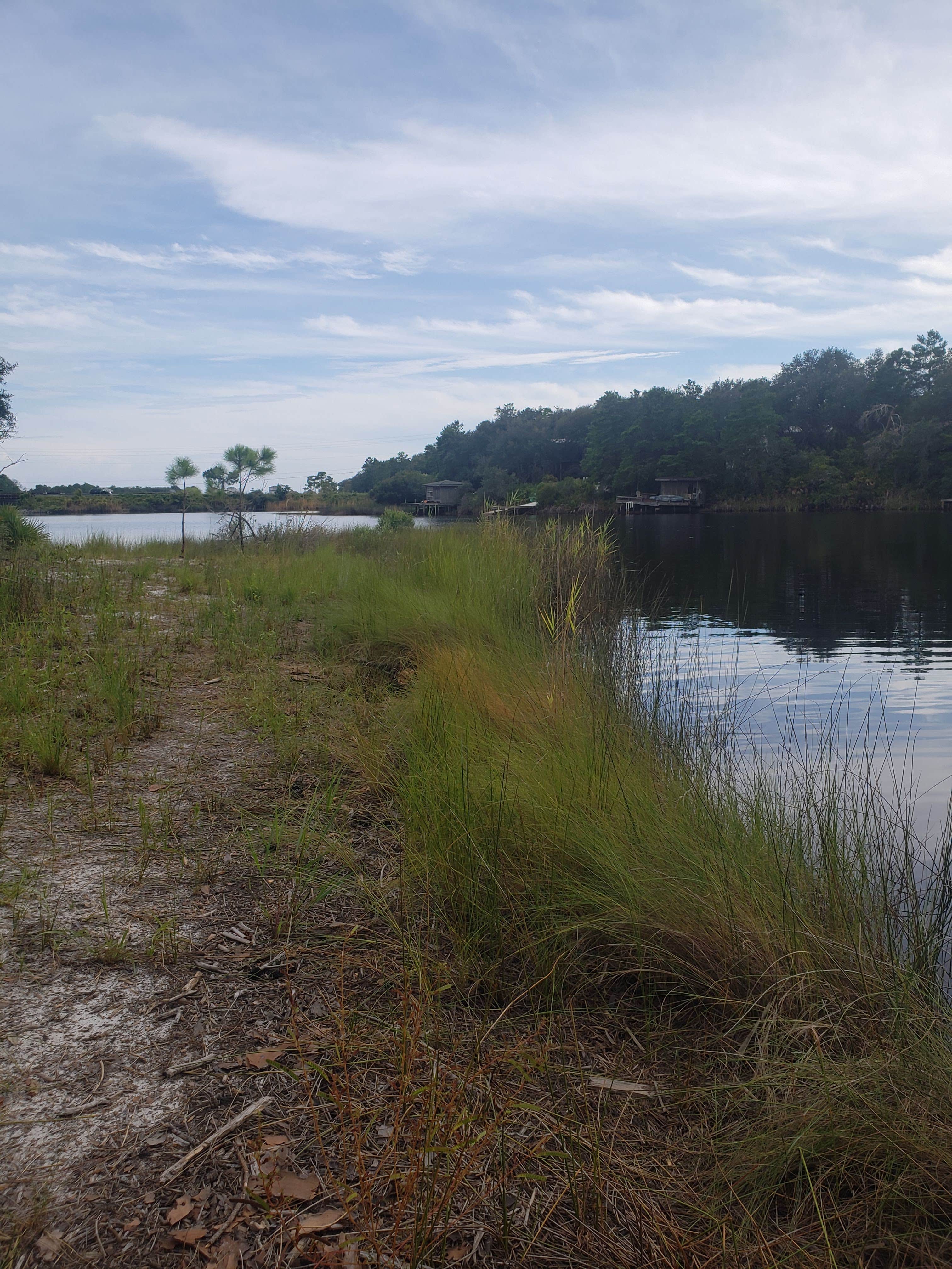 Camper-submitted photo at Eastern Lake Campground 1 — Point Washington State Forest near Ebro, FL