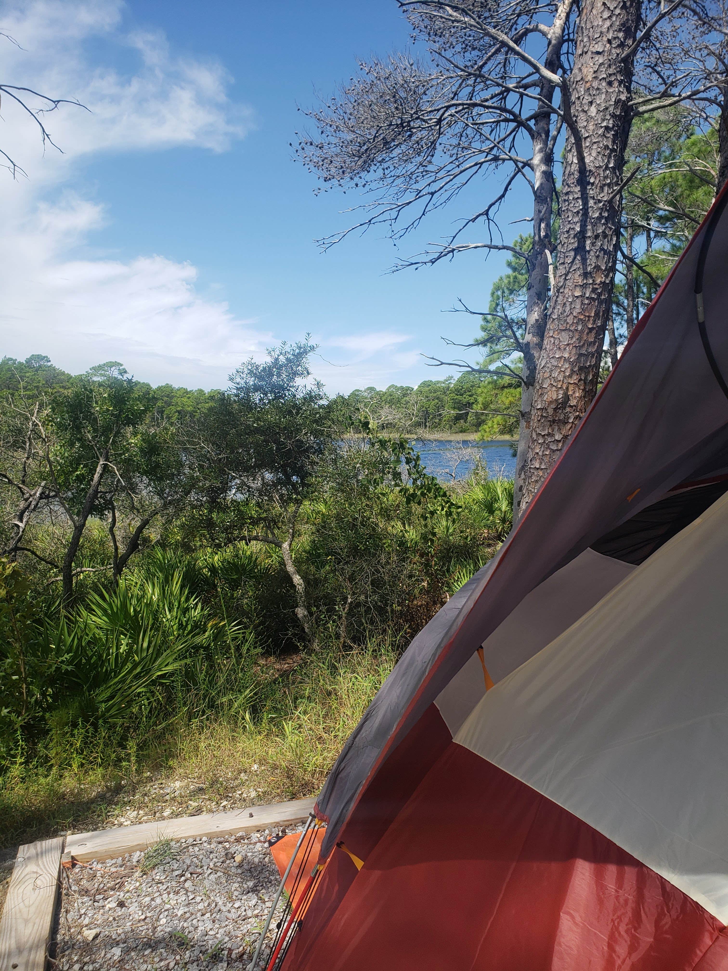 Camper submitted image from Eastern Lake Campground 1 — Point Washington State Forest - 5