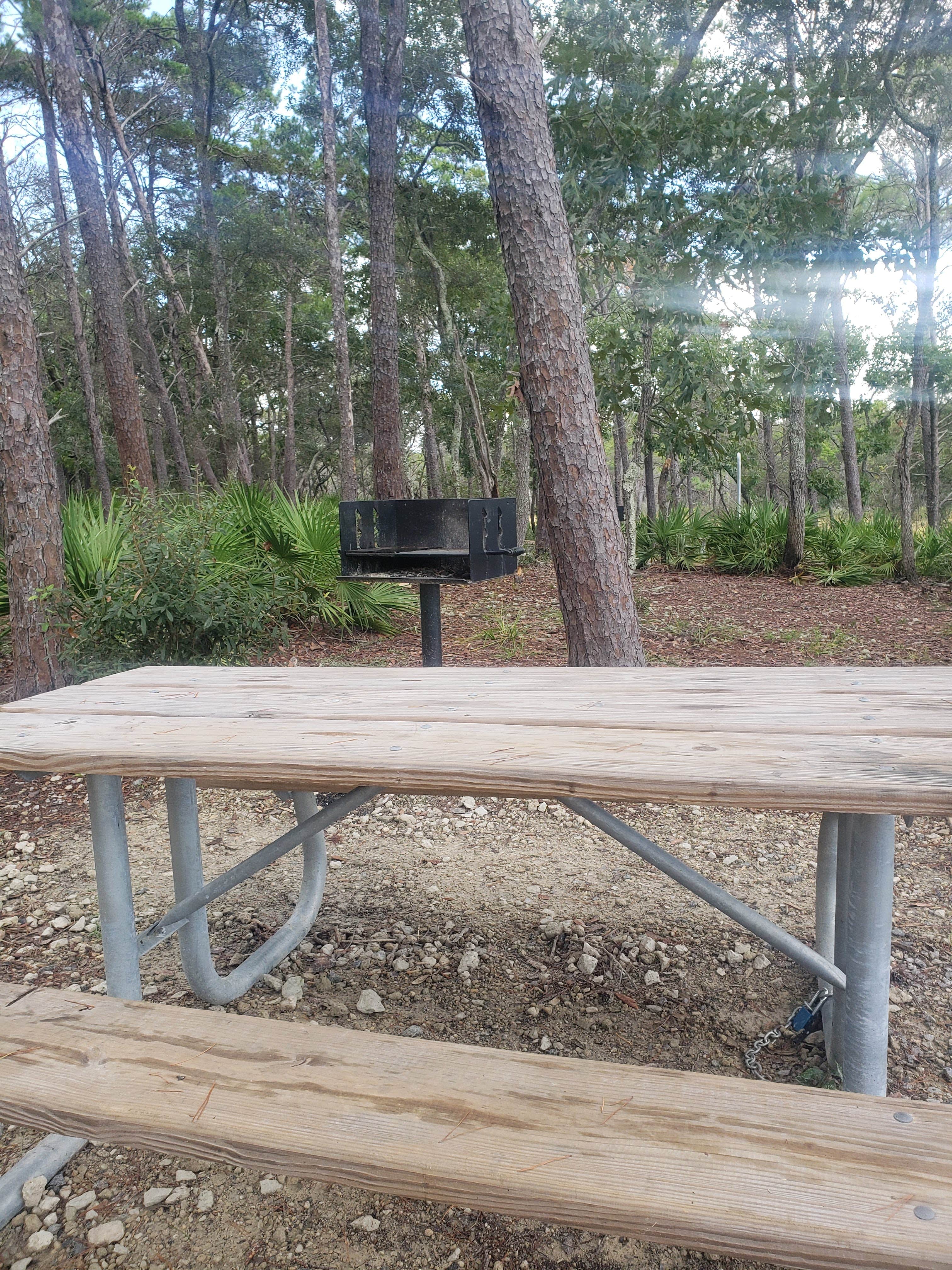 Camper-submitted photo at Eastern Lake Campground 1 — Point Washington State Forest near Ebro, FL