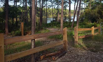 Camping near Sand Pond Campground - Pine Log State Forest: Point Washington, Inlet Beach, Florida