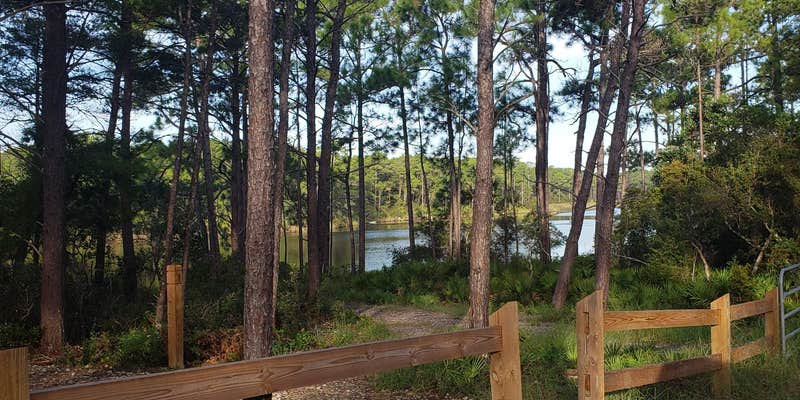 Camper submitted image from Eastern Lake Campground 1 — Point Washington State Forest
