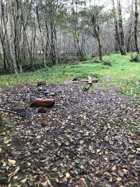 Camping near Appleton Pass: Olympus Guard Station — Olympic National Park, Olympic National Park, Washington