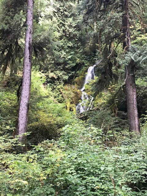 Camper-submitted photo at Mount Tom Creek — Olympic National Park near Sol Duc Hot Springs, WA