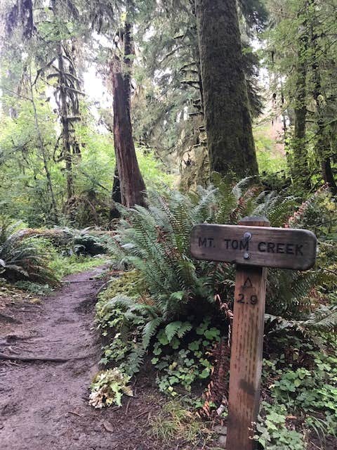 Camper-submitted photo at Mount Tom Creek — Olympic National Park near Sol Duc Hot Springs, WA