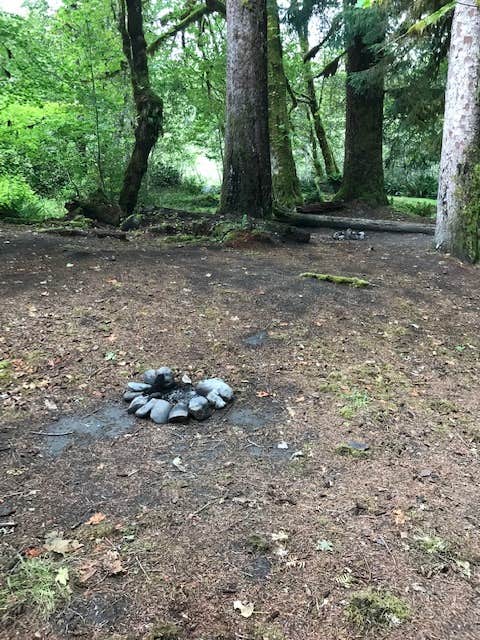 Camper-submitted photo at Mount Tom Creek — Olympic National Park near Sol Duc Hot Springs, WA