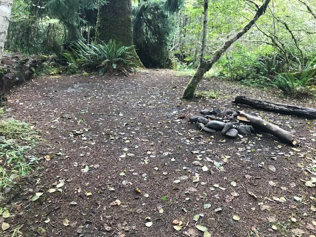 Camper-submitted photo at Mount Tom Creek — Olympic National Park near Sol Duc Hot Springs, WA