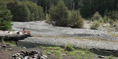 Camper submitted image from Five Mile Island — Olympic National Park