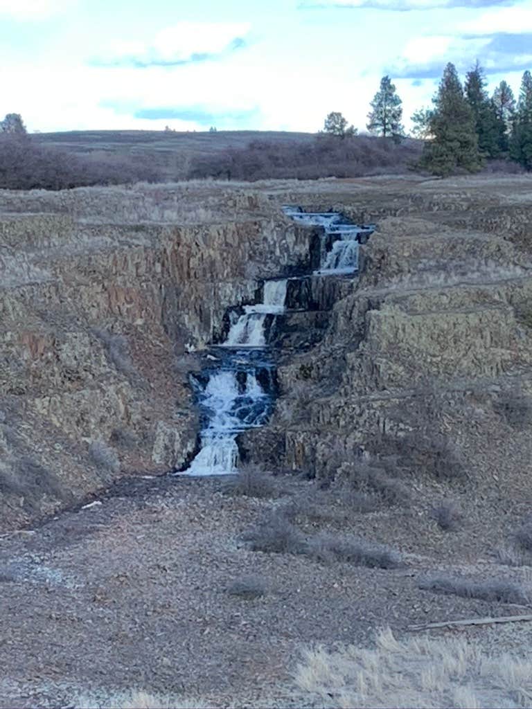 Camper-submitted photo at Hog Lake Campground near St. John, WA