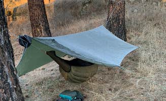 Brian L.'s photo of a dispersed camping area at Hog Lake Campground near Valleyford, WA